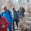 03 bei Waldhausen - Schättere-Trasse